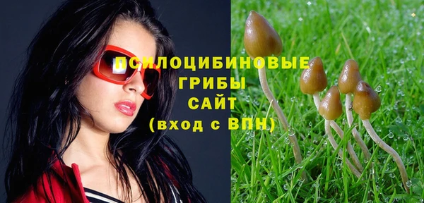 ALPHA-PVP Армянск