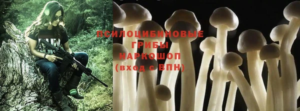 ешки Арсеньев