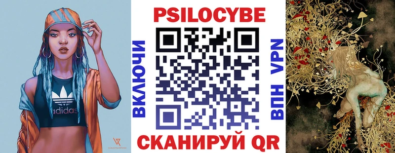наркошоп  Макарьев  Псилоцибиновые грибы Psilocybe 
