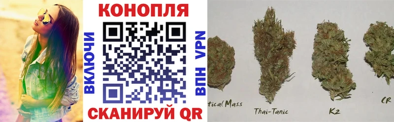 Бошки Шишки OG Kush  как найти   Макарьев 